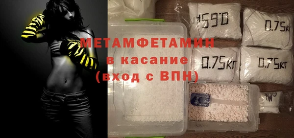 индика Богородицк