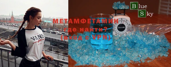 индика Богородицк
