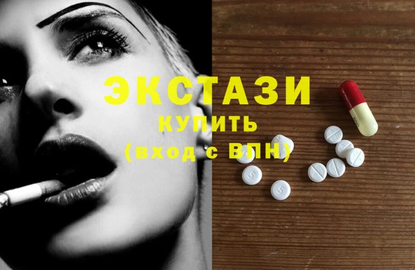 индика Богородицк